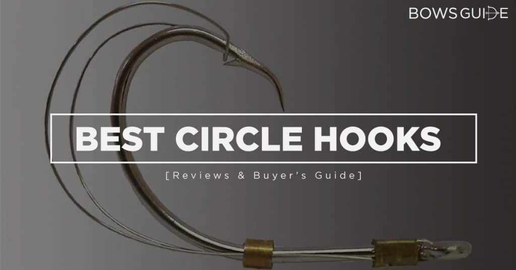 Best Circle Hooks