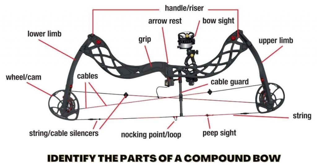 How to Identify the Parts of a Compound Bow