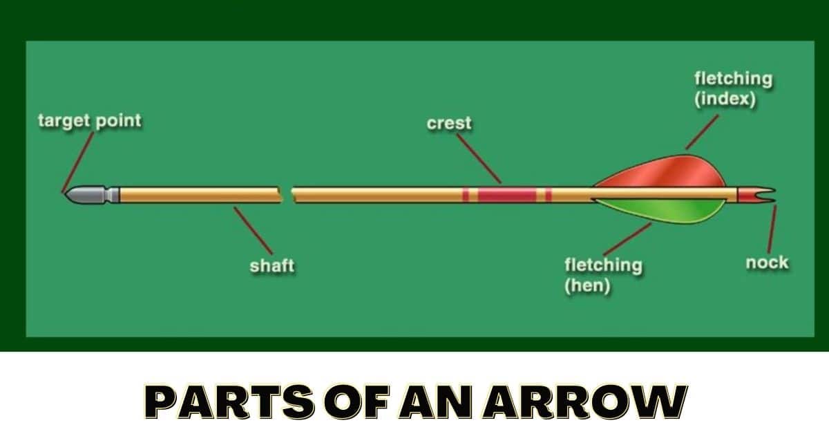 Diagram of an archery quiver - Wasunder