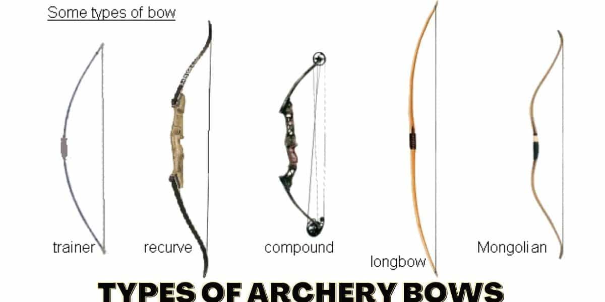 Types of Archery Bows