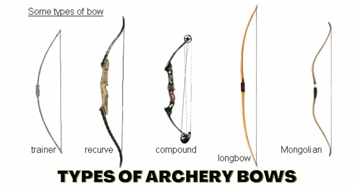 What Are The Different Types Of Bows Used In Archery at Joseph Kyles blog