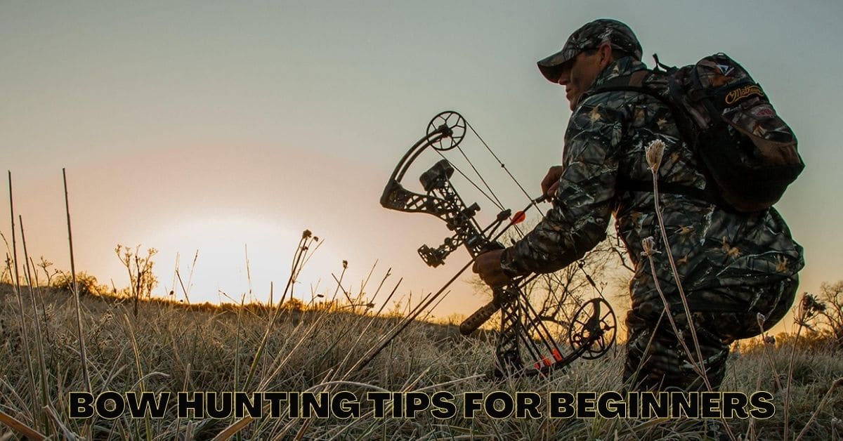 Bow Hunting Tips for Beginners